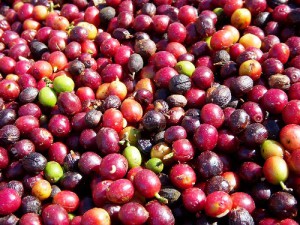 2D1587C7-1FD6-4DC6-91A5-6885D3DB6D2B