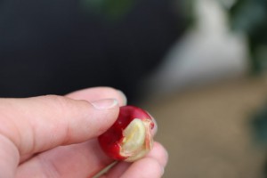 44EC4B96-C5AB-4D68-BAF2-DAD6146944BD