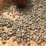 コーヒーはどこからやってくる？【ブラジル】