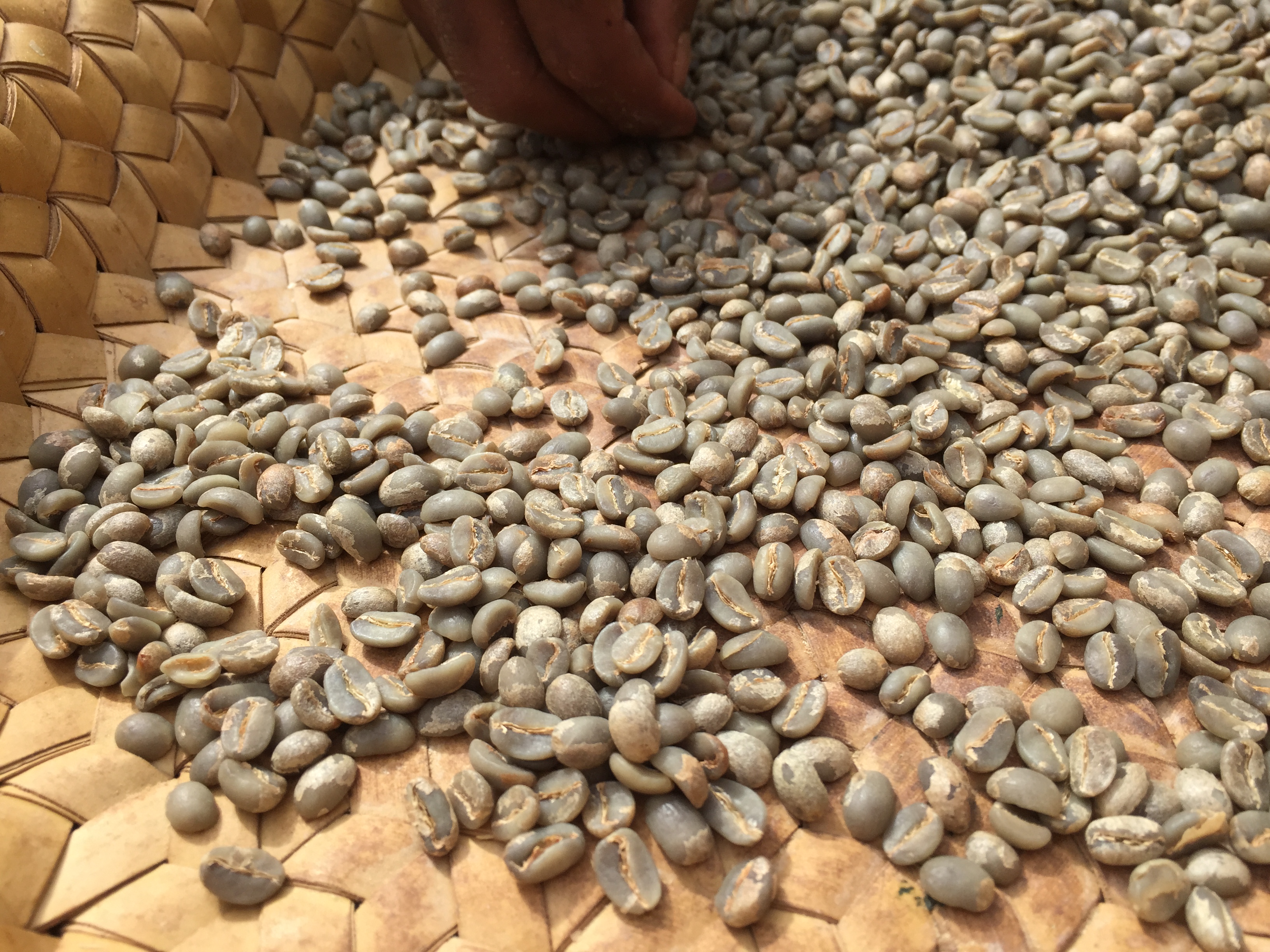 コーヒーはどこからやってくる？【ブラジル】