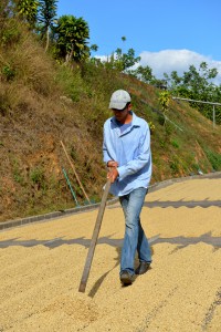 27D43D3A-4741-4DF2-8025-D9806D253306