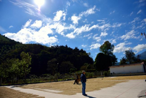 FDBF064A-2A17-4C57-A201-523F5054ACA1