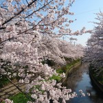 珈琲豆販売も喫茶メニューもやってる坂戸市の穴場カフェはクマロマです😆