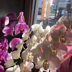 隠れ家カフェ発、極ブレンド第一弾！！