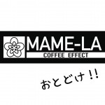 マメーラおとどけ❗️世界遺産豆【絶海の孤島ガラパコス】登場！日本に入ってきた半分の量を確保！