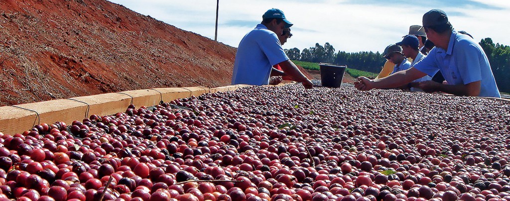 B7FDC3BF-91B5-46CB-8648-7D4543F8A233