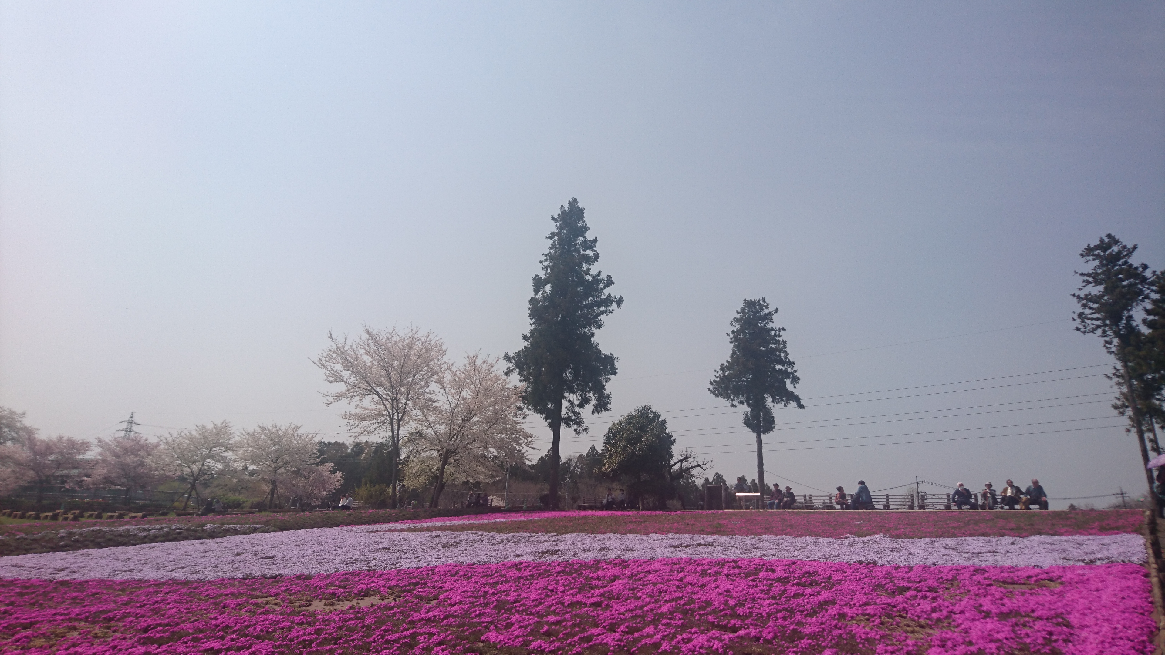 秩父の旅【隠れ家カフェ】クマロマの珈琲を持ち運んで幸せも運んじゃいましょう❤