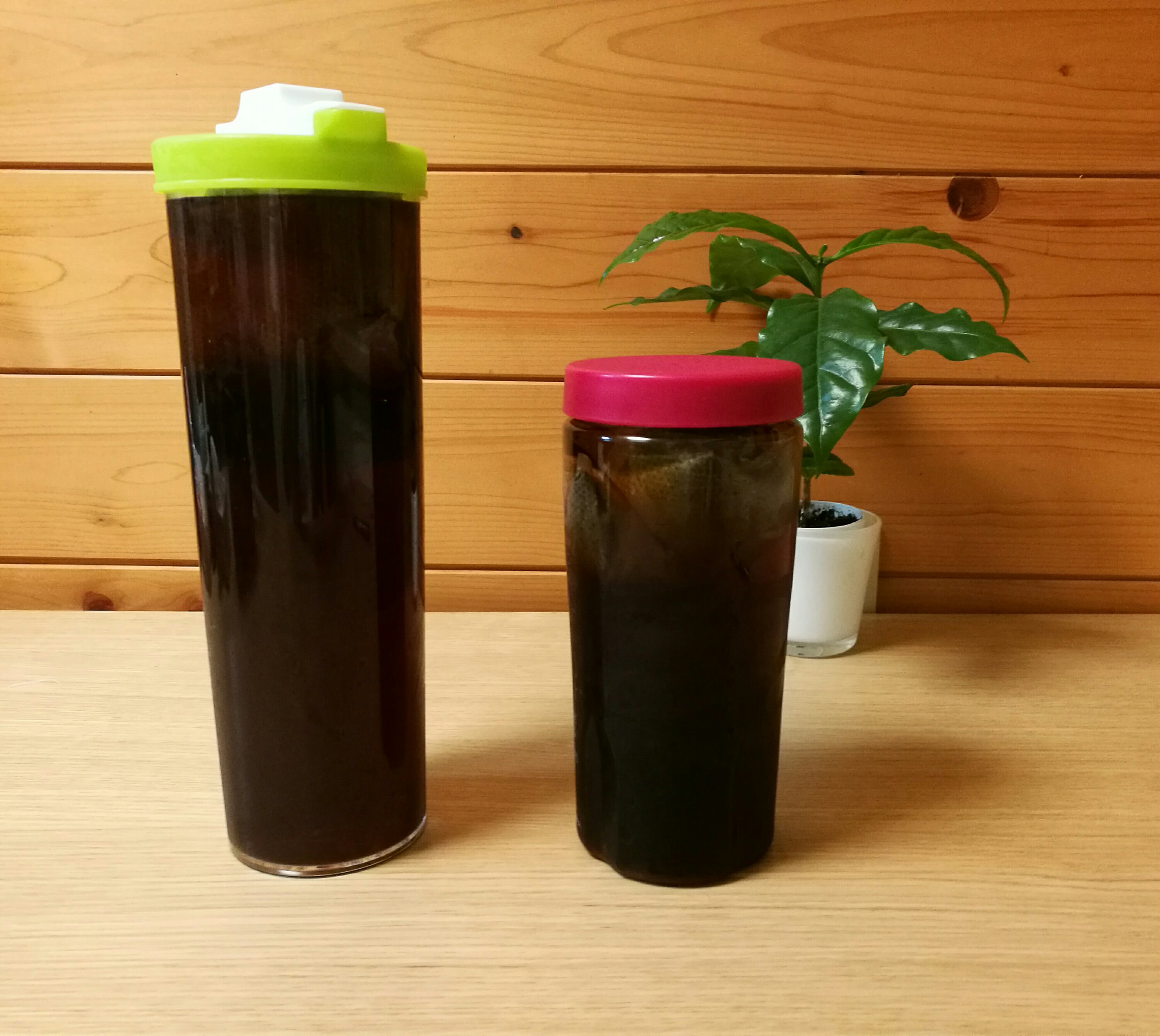 夏をもっと楽しめる❤デカフェの水だしパックはクマロマで🐻こんなに美味しくて安いなんて、全国に知らせたい！！！