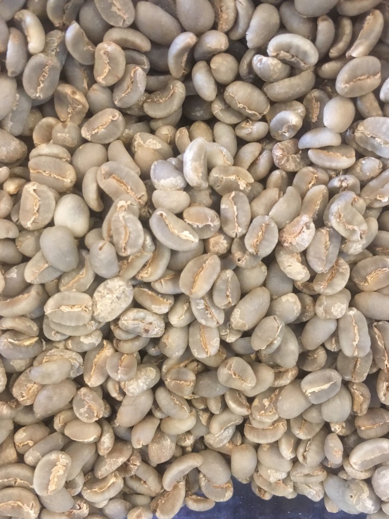 8B9DE739-7E6C-4327-AD0A-4ED36E149CD4