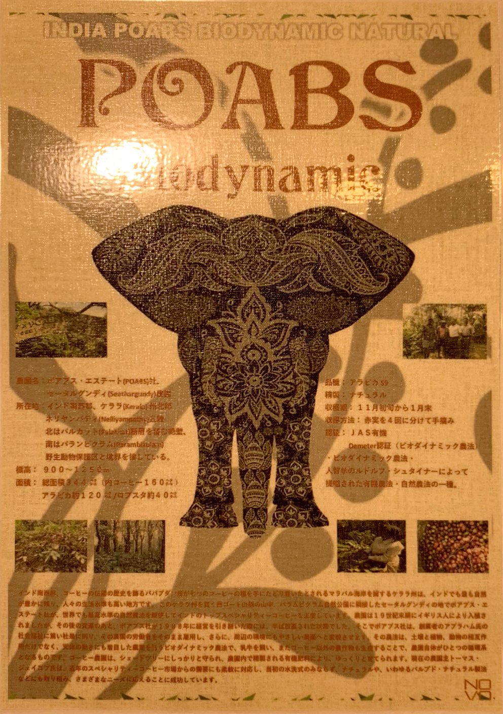 【バイオダイナミック農法】とはなんぞや❔👀今回入荷の希少豆は飲み逃しなくっ‼️