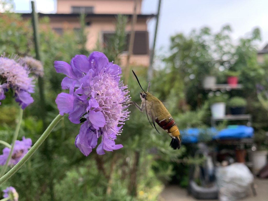 497E2D39-AF71-42C4-BEFF-9C48B91CAA20