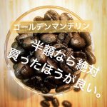 【高額割引】※今月の「もってけドロボースタイル」は過去最高割引額を更新しました👌✨