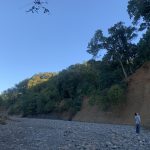 【プチアウトドア】飯能河原で珈琲淹れたあと、茂蔵さんと巾着田に行った話😊