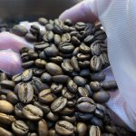 この前仕入れたはずのゴウララとJOKERが！😱！