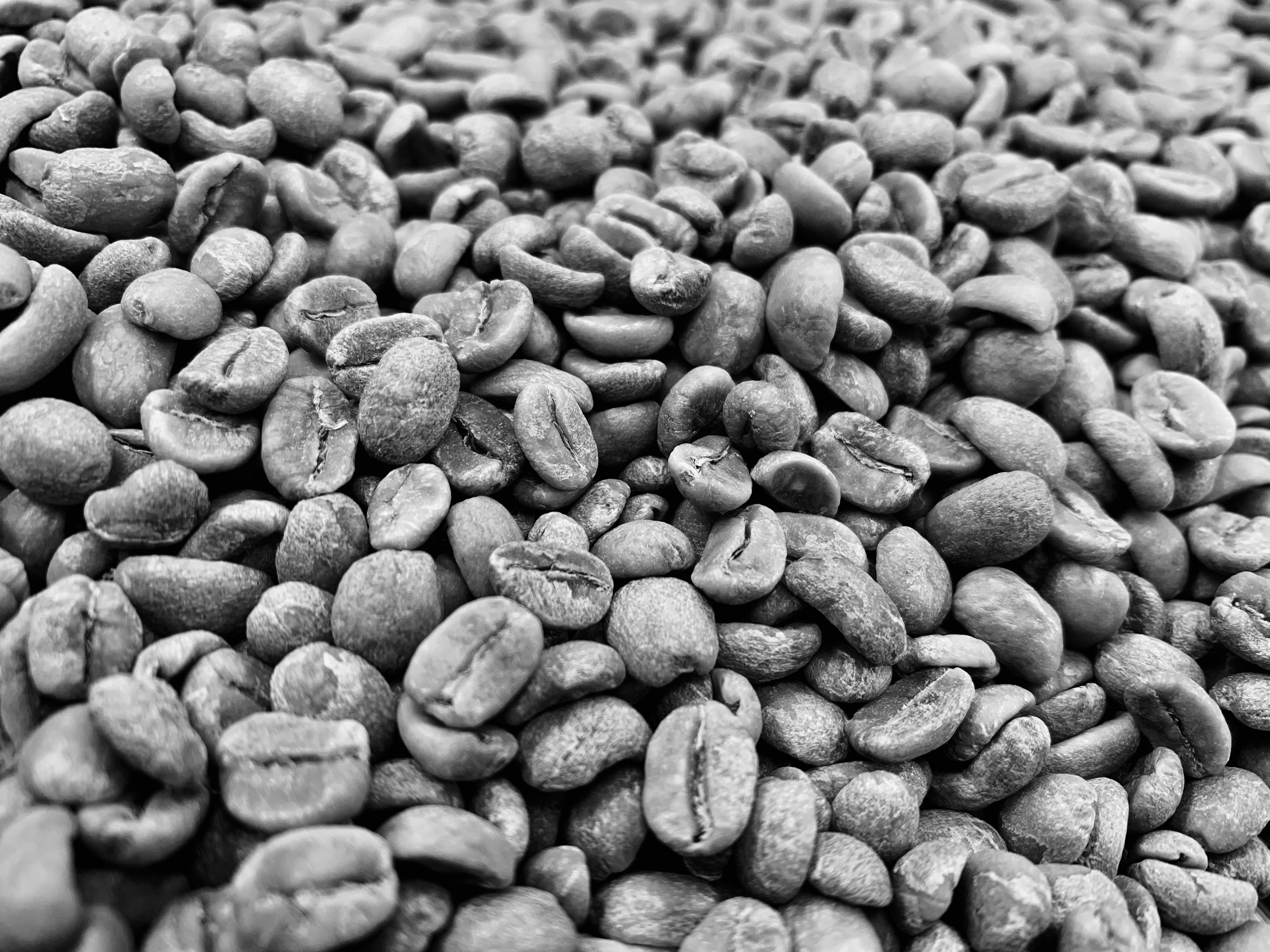 ごつごつしたコーヒー豆はやっぱり不味いのか？