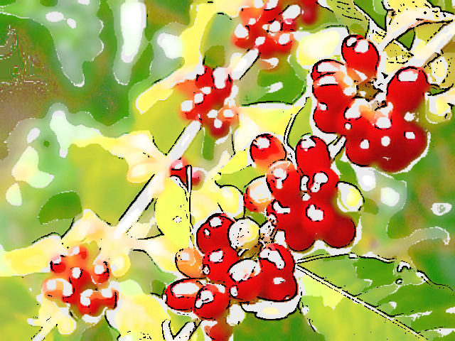 珈琲豆紹介【ブラジル　ファゼンダ　パッセイオ 】カカオとオレンジの香りを纏った伝統あるコーヒー豆です。