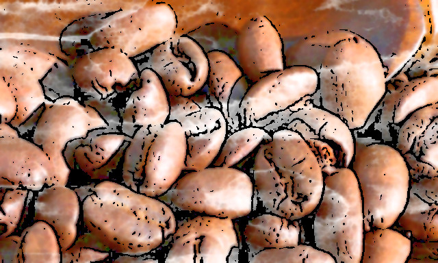 “珈琲のロマネコンティ”と称された銘柄【パナマ エスメラルダ・ゲイシャ】業界に激震を与えた“ある出来事”とは？