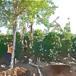 ～土壌作りから精製工程まで～「コスタリカ　エル・ポトレロ農園」がつくりあげる至福の口あたり。