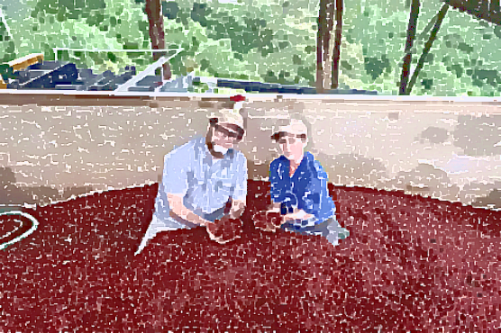 【グァテマラ　エスペランサ　ラ・ベガ】グァテマラ最高峰に君臨し続ける、美味しさの理由とは？