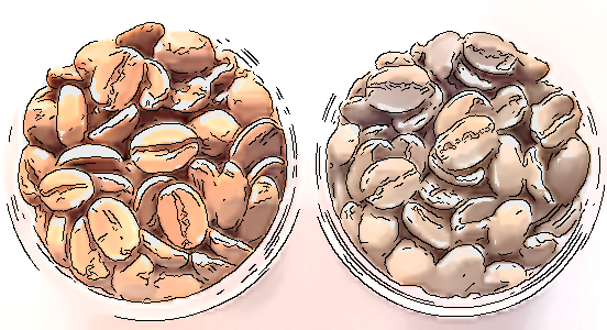 【クロップ】って知ってますか？日本には数十年熟成された珈琲が存在する！？